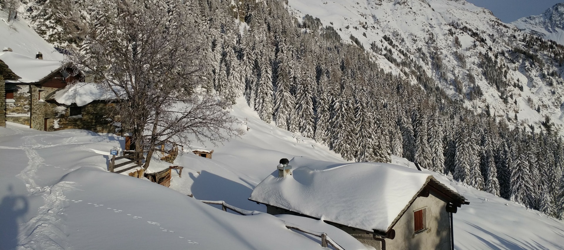 Albergo Stella Alpina - Paesaggio Invernale (2).jpg